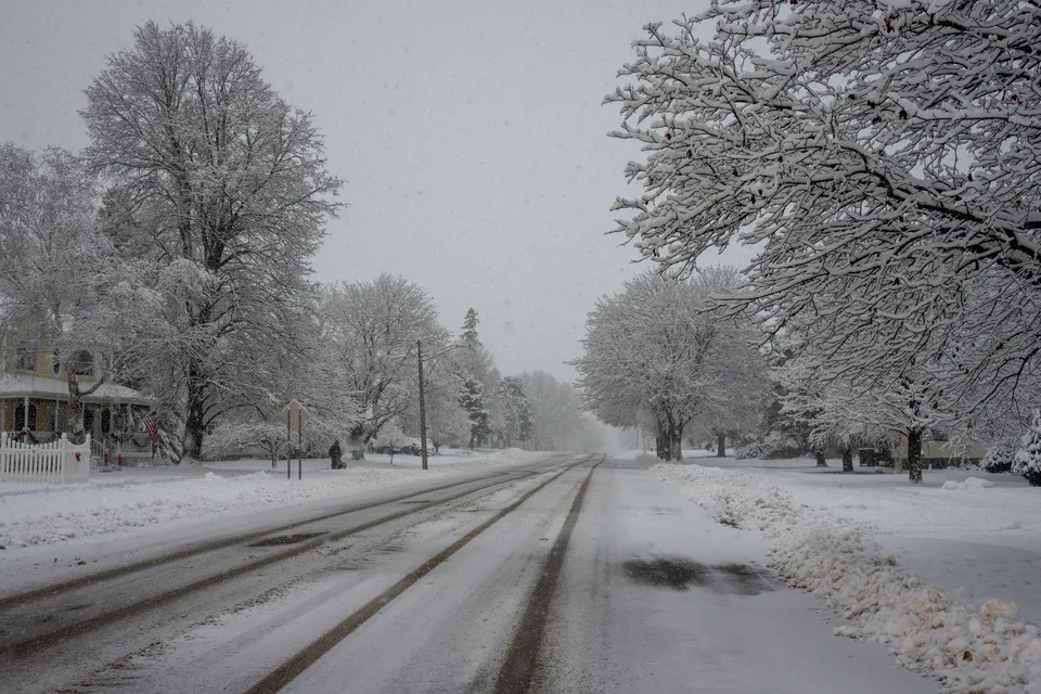 A serene winter landscape of a snow-covered road and trees in Plainview, Minnesota.