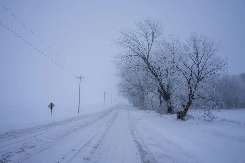 Frosty winter road in Minnesota covered with snow, lined with icy trees under a cold foggy sky.