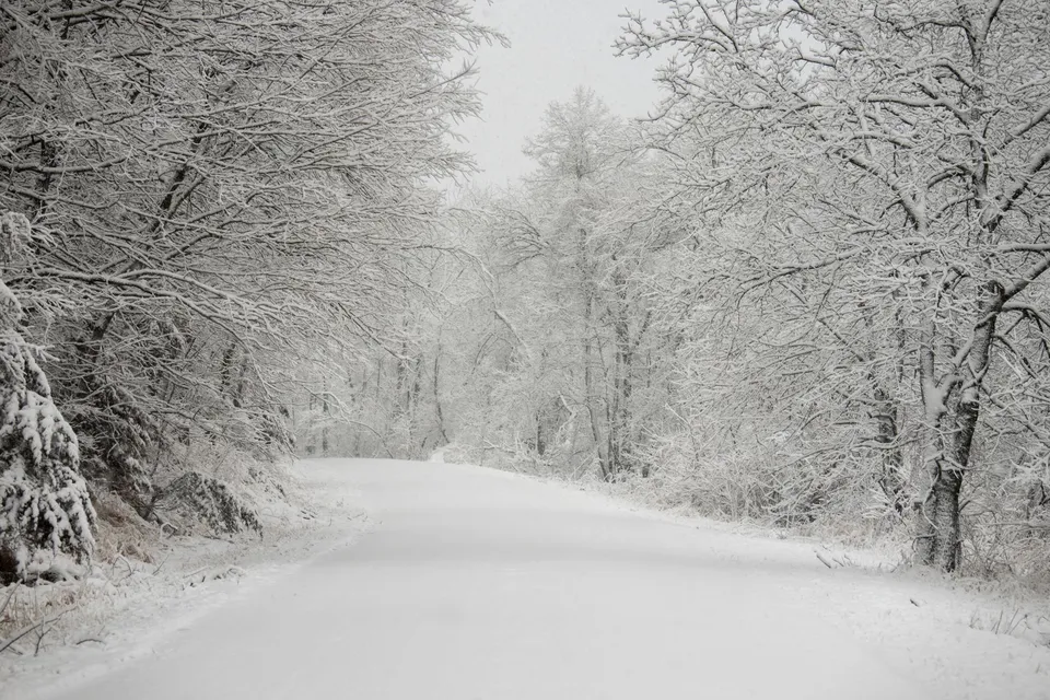 Idyllic snowy landscape of a forest road in Minnesota during winter, showcasing frosty trees.